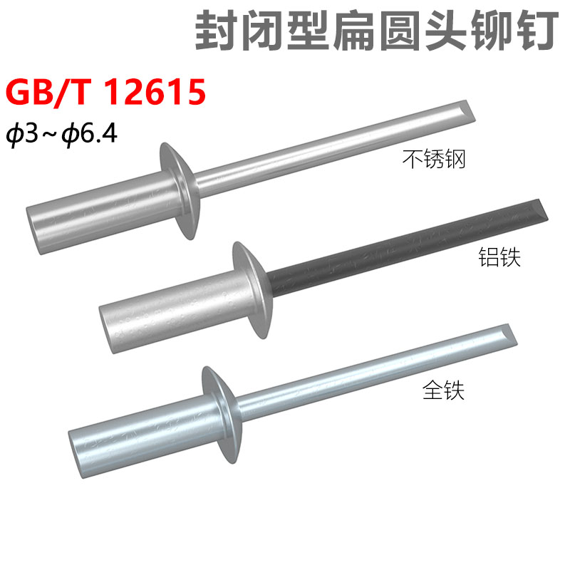 cz五金封闭型扁圆头抽芯铆钉