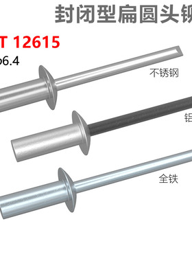 CZ五金扁圆头封闭型抽芯铆钉GB12615防水拉铆钉密封式拉铆钉M3-M6