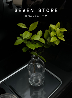创意花瓶摆件车内插花装饰品高级轻奢车内饰品车内养花玻璃插花瓶