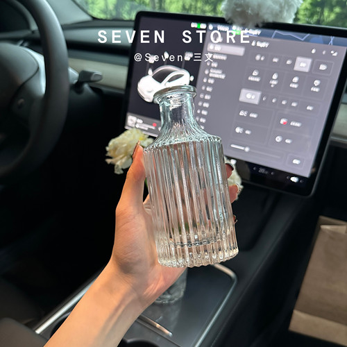 简约ins风车内养花花瓶