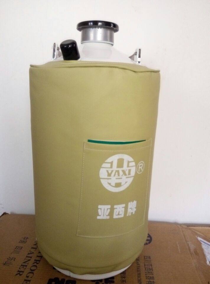 亚西液氮罐 液氮生物低温容器 YDS-10冰激凌美容祛斑用手提式便携