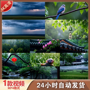 高清春雨雨水谷雨惊蛰清明二十四节气农耕雨景烟雨江南视频素材