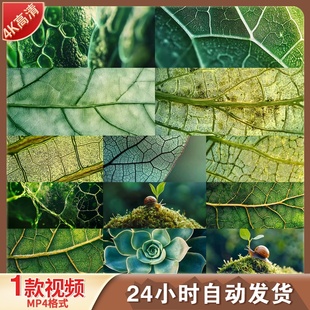 高清植物细胞叶绿体细胞膜细胞表层分裂分子微生物显微镜视频素材