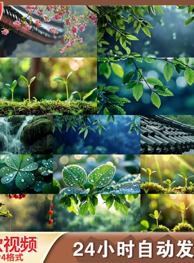 雨水节气谷雨惊蛰清明二十四节气绿色LED舞台背景视频剪辑素材