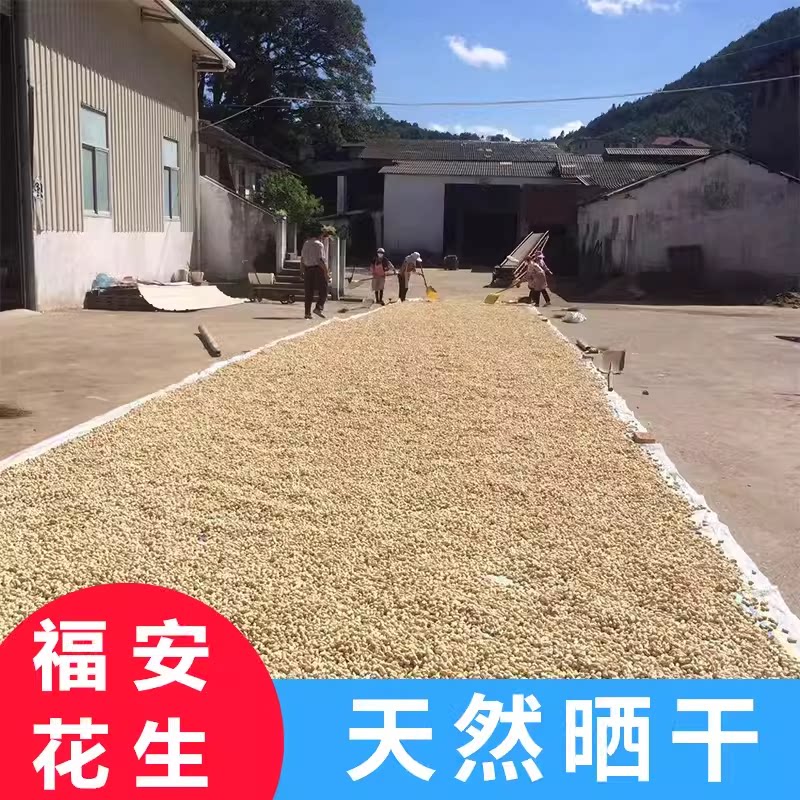 福建福安小种花生 正宗穆阳特产洋溪水煮盐水白晒干咸花生5斤包邮