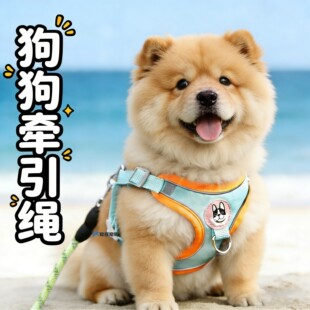 背心式松狮犬狗狗牵引绳胸背小狗防挣脱栓狗绳调节小型犬链子通用