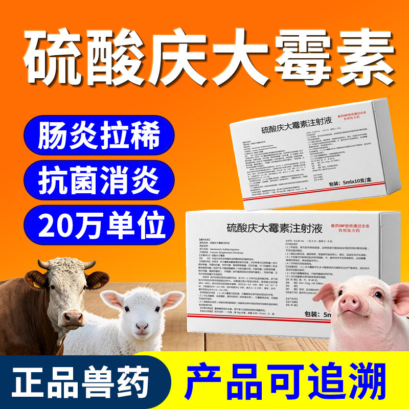 兽药硫酸庆大霉素注射用液兽用宠物犬猫狗猪牛羊肠炎抗菌消炎针剂