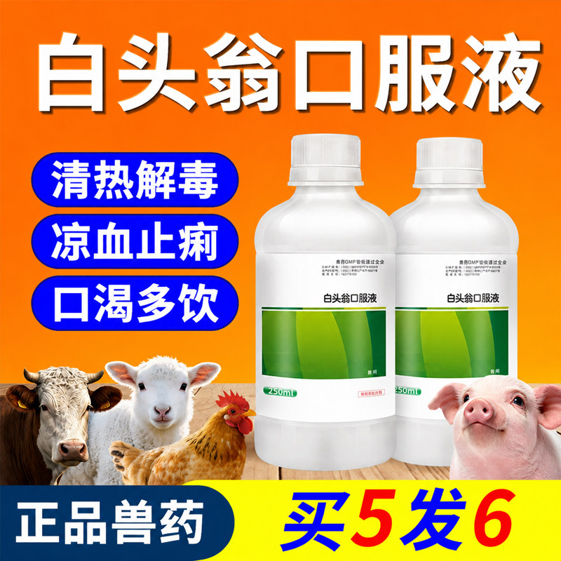 兽药白头翁口服液仔痢康兽用猪牛羊鸡禽药拉稀脓血便腹泻止痢疾停