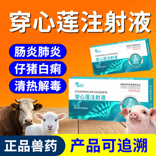 兽药穿心莲注射兽用针剂牛羊