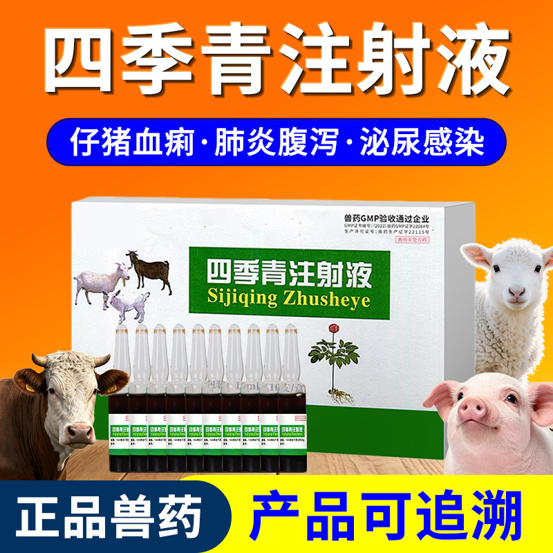 兽药四季青注射液猪药牛羊兽用针剂仔猪拉稀血痢疾停肺炎尿路感染