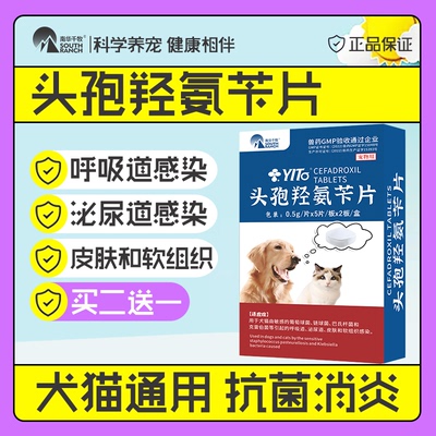 头孢羟氨片宠物猫咪犬用狗狗