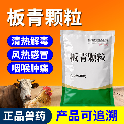 兽用板青颗粒兽药正品国标500g