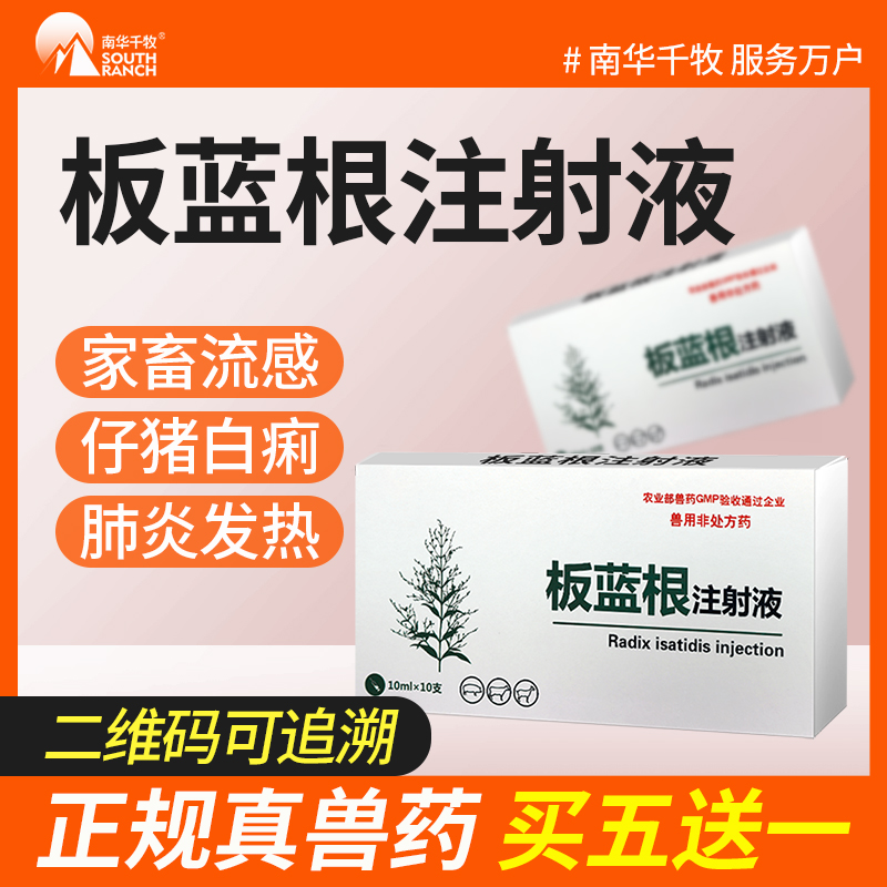 南华千牧板蓝根注射用液兽用兽药