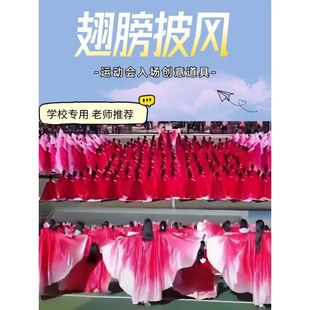 盛世欢歌美丽中国青春的誓言粉红色渐变翅膀运动会入场开幕式道具