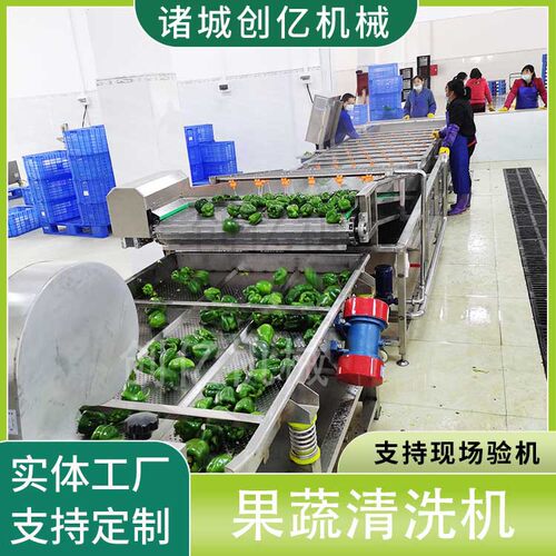 厂家直供食堂多功能洗菜机 商用小型蔬菜清洗机 气泡式翻浪清洗机
