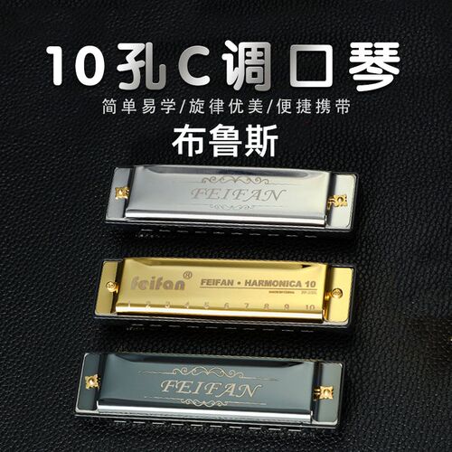 布鲁斯口琴10孔C调口琴儿童中小学生益智初学者学生专业演奏乐器