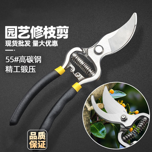 不锈钢修枝剪树枝采摘水果花木剪园林果树花卉枝嫁接园艺剪刀工具