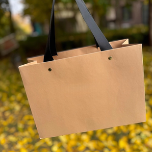 礼品纸袋空白服装 手提袋牛皮纸手拎袋螺纹绳企业广告宣传袋子印刷