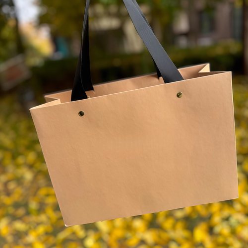 空白牛皮纸手提袋螺纹绳可印刷