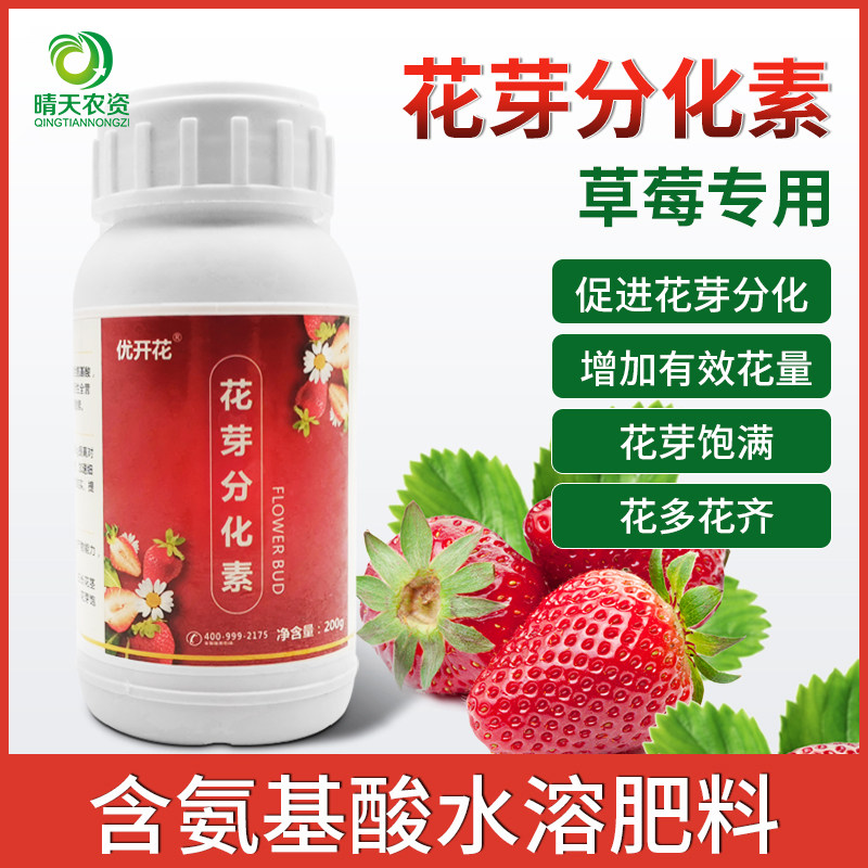 草莓专用花芽分化素 促花促果促生长授粉精授粉剂授粉药坐果剂
