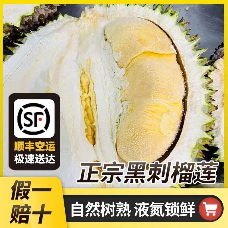马来西亚进口黑刺榴莲D200液氮冷冻新鲜水果顺丰包邮带壳四房整个