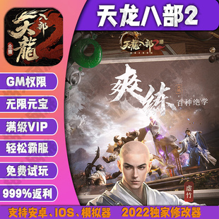 天龙八部2飞龙战天gm手游无限元宝后台游戏礼包vip畅玩新
