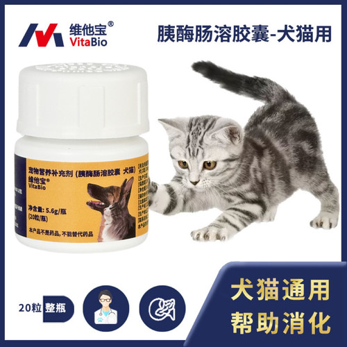 肠胃调理慢性腹泻胰酶犬猫通用