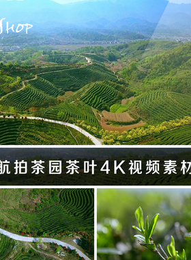 航拍茶园4K视频素材实拍绿色梯田茶叶种植栽培育耕作茶树园地美景