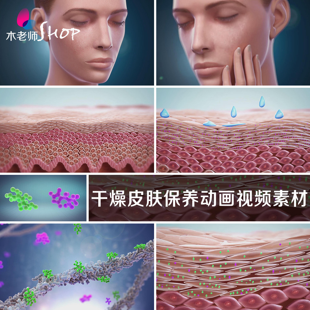 干燥皮肤保养动画视频素材干性肤质缺水保湿补水因子皮肤组织结构