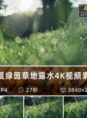 清晨绿茵草地露水露珠4K视频素材实拍绿色草坪早晨清新大自然阳光