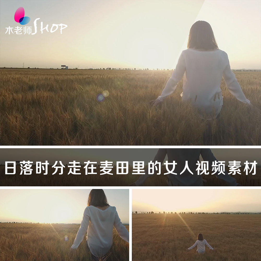 日落时分走在麦田里的女人实拍视频素材金色麦地女孩背影阳光夕阳
