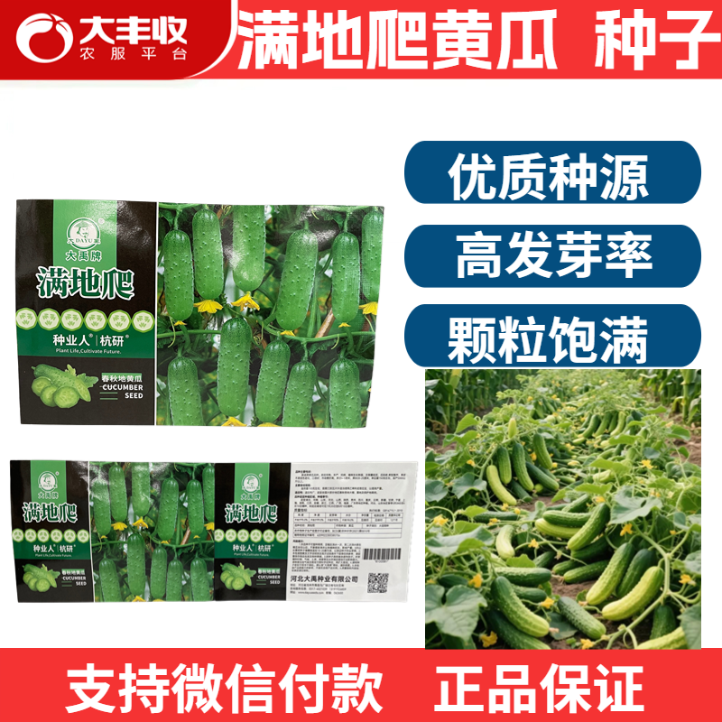 无架黄瓜种子爬满地种籽孑四季春秋夏蔬菜盆栽节节瓜水果阳台专用,农用物资,蔬菜种子/种苗,淘宝优惠券,粉丝福利购,淘宝优惠卷