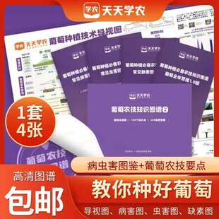 葡萄全年种植技术要点导视图病虫害识别技术葡萄管理图谱