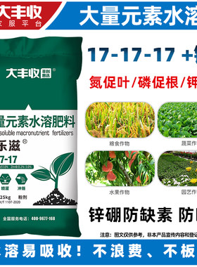 FS大丰收 蜜乐滋17-17-17+TE大量元素水溶肥叶面肥促生长通用肥料