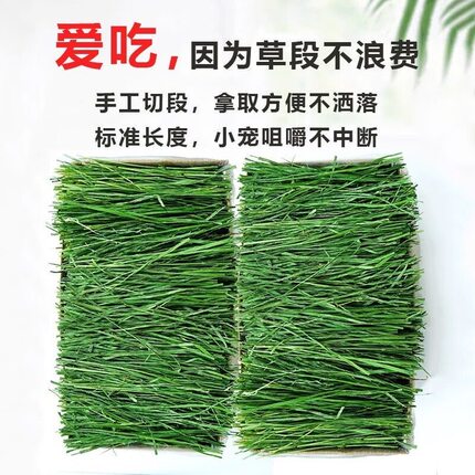 26年烘干提摩西草段高纤维荷兰猪龙猫干草兔草料宠物兔零食