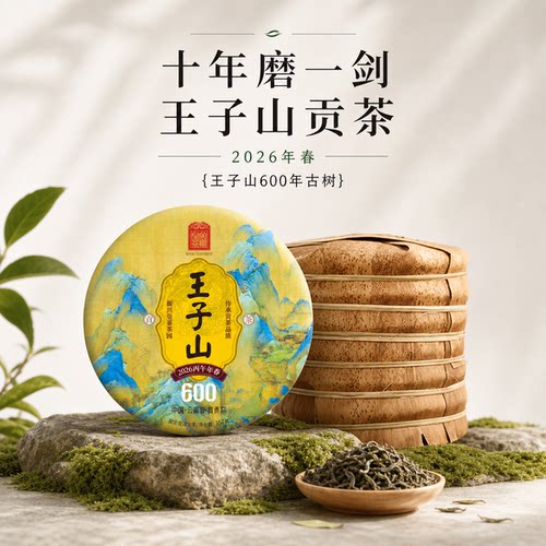 2026春茶预售曼松王子山600年357