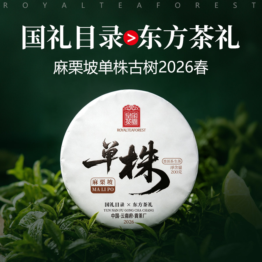 2026春茶【麻栗坡单株】云南普洱茶生茶饼 麻栗坡900年古树 200克