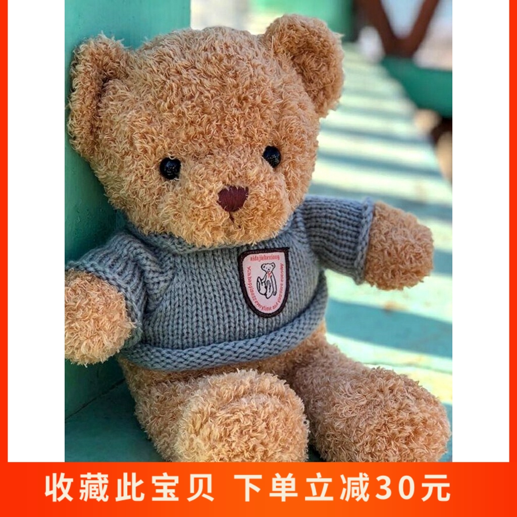 玩具熊泰迪熊玩偶抱抱熊娃娃PP棉