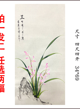 国画兰花四尺四开装饰画纯手绘大尺幅作品客厅厨房挂画尺寸34×69
