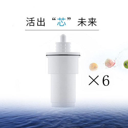 适用惠尔顿中科华膜净水壶滤芯