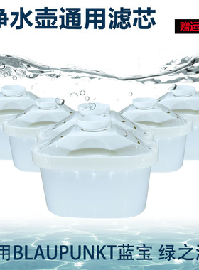 适用于BLAUPUNKT蓝宝BP-JSH01 BP-WF01绿之源净水壶滤芯OES