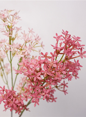 小银冠花小碎花假花自然风仿真花室内桌面花艺造景婚礼婚庆装饰