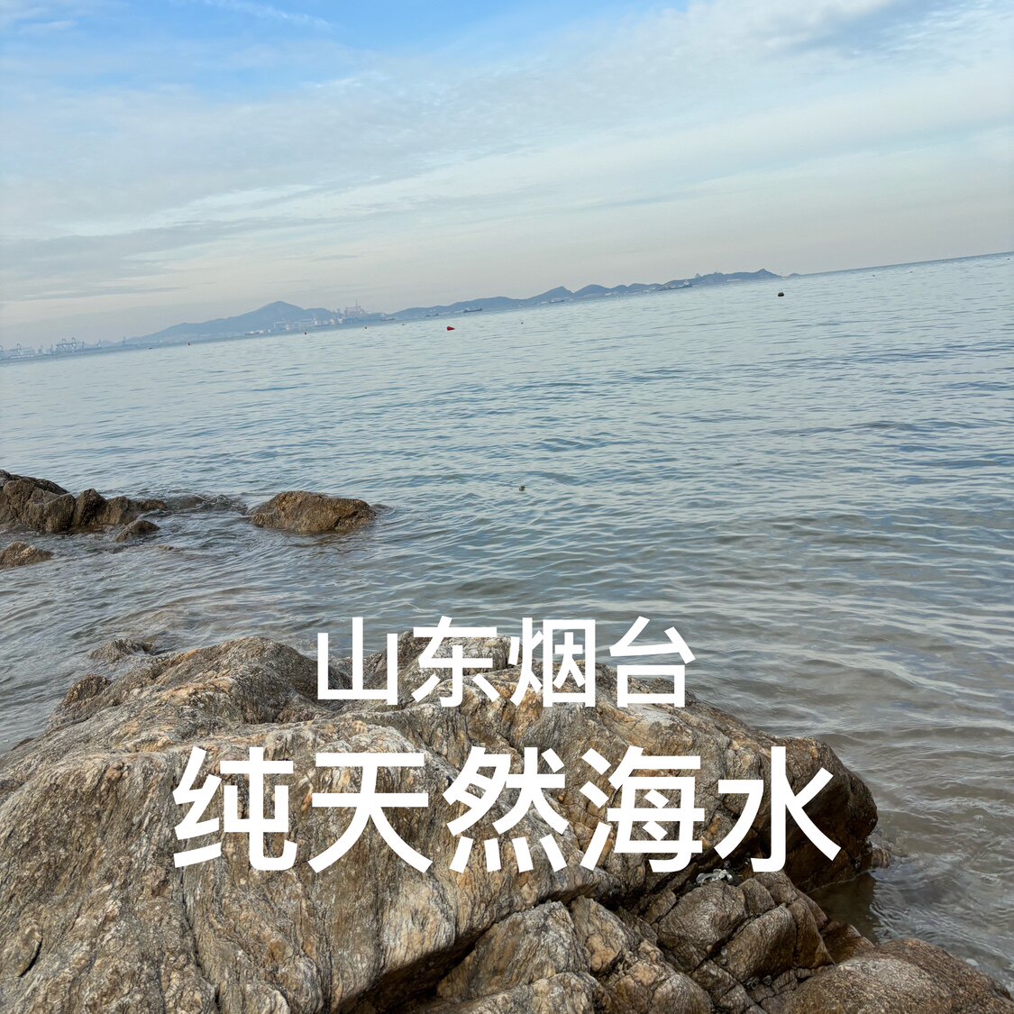 真天然海水 烟台养马岛渤海纯净海水现装实验海水 海洋生物养殖水