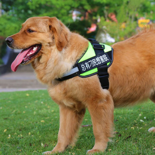 狗狗牵引绳胸背带大中小型犬反光带金毛泰迪狗绳链子防挣脱可调节