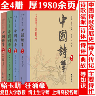 中国诗学 中国诗歌发展诗经楚辞中国诗词名篇名句赏析如何阅读中国诗歌二十四诗品诗歌流派陶渊明人间词话书籍 全四卷