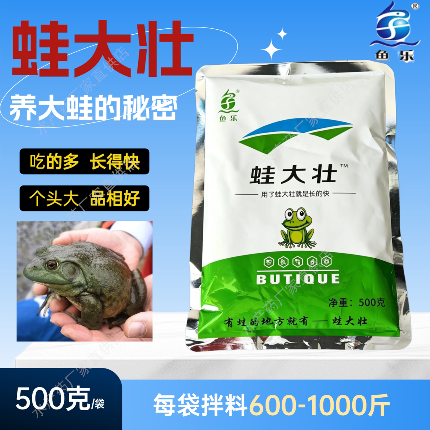 鱼乐蛙大壮蝌蚪蛙蛙促生长长得快