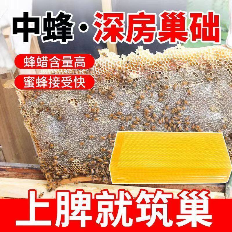 中蜂精品巢础片蜂蜡巢皮养蜂巢框蜜蜂巢脾中锋专用深房巢基正品