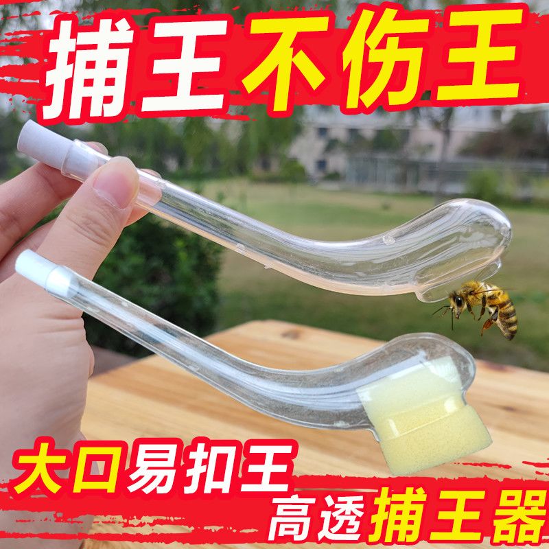 捕王器 捉蜜蜂王蜂王可做囚王笼蜂具养蜜蜂用品蜂具 养蜂工具