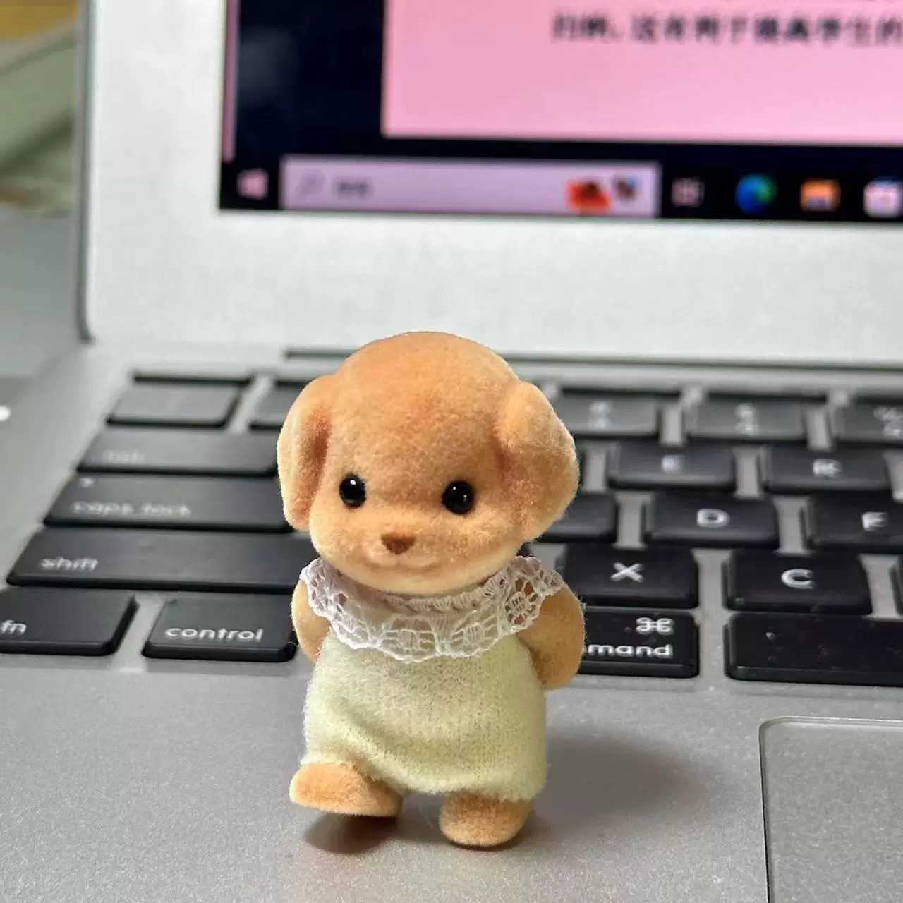 森贝儿贵宾犬家族公仔小红书桌面摆件玩偶玩具小狗旅行携带可爱萌