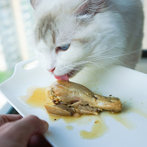 生鸡腿怎么去骨头 剔鸡腿骨步骤